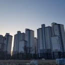 소옥개로 이미지