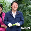 오이씨농장1 이미지