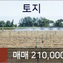 연세한빛안과 이미지