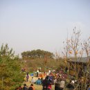 동찬농장 Daum카페