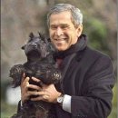 애견매니아 이미지