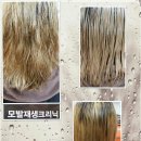 헤어톡 Daum카페