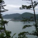 몰운대꼼장어 이미지