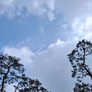 박물관공원(부평역사박물관 옆) 이미지