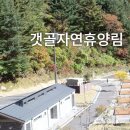 월전로 1 이미지