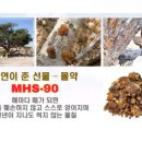 (주)미르팜 이미지