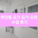 대양수지 | [하안동 요가]요가 오라 BASIC 하타 수업 후기