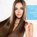 정화머리방
