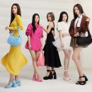 찰스네 이미지