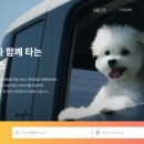 펫미업 이미지
