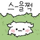형제닭볶음탕 이미지