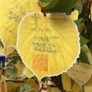 11월10일 민족화해와 평화의길순례 중고등부 주일학교(임진각 통일전망대및 참회와 속죄의성당 ) 이미지