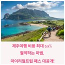 제주도 가성비 여행 끝판왕, 투어패스 꼭 사야 하는 이유 사용후기