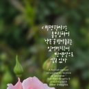 하늘사랑 이미지