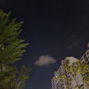 강남대로109길 102 (1) 이미지