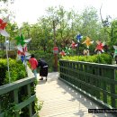 나비공원　 이미지