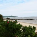 볼음도저어새생태마을 이미지