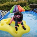 해돋이 가자 애견펜션 이미지