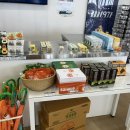 스테이모슬 이미지