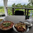 드림모두팜 | [세부 숙소 추천] 정글 속에 갇혀버림..🌴 세부 라호야팜 리조트 솔직 후기 (룸서비스, 마사지, 단점 포함)