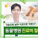 슬기로운동물병원 이미지