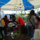 함박꽃웃음 붓꽃마을 이미지