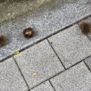 만선당약국 | WEEK1 흘러흘러 흔들리며 찾아가는_2025.10