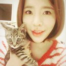 써니농장 이미지