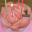 멍멍데잇 | 25년 9월 10월 11월