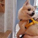 포토덤프챌린지 7월 첫째주기록