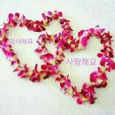 우리의오늘 이미지