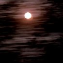 SCP-3519 조용한 요즘 이미지