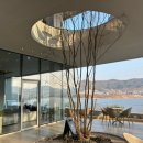 카페로지 | 아산 데이트 코스 추천｜신정호 카페거리 + 로지호텔 숙박 후기