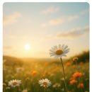 마음의 여백 이미지