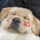 올림푸스원 네이버블로그