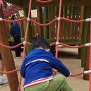 식물원복합식당