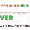 상록공인중개사사무소 이미지