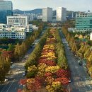 대전시청 이미지