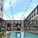2월호텔 더시그니처 동성로점 | 대구 2월호텔 더시그니처 동성로점✨ 내돈내산 객실 리뷰+수영장