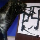 남원자연휴양림 이미지