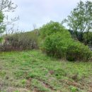 현순농장 이미지