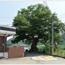 월용2리 이미지