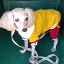 노블레스골프랜드 이미지