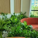 염창환병원 이미지