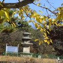 1-92호공원 이미지