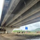 옥곡5일시장(정문) | 다낭 여행 3박 5일 자유여행 후기 (2)