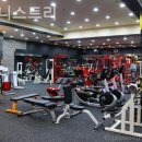 휘트니스 트리 이미지