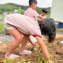 송북초등학교 - 전주시 덕진구 | 아이 성장 걱정된다면 칠원동어린이집 고민하는 부모님께 추천하고픈 평택 지산동 자연 친화 보육 시설...