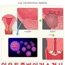경부