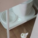 탐나는 고양이 | 고양이 동결 건조 강아지 건식 사료 통 추천